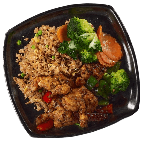 Combo 1 — one meat plus one vegetable